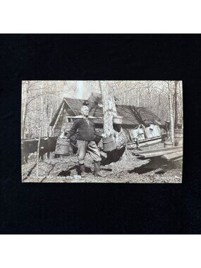 Vintage Postcard 1940 Sugar Bush White Mtns NH RPPC Oxen Maple Syrup CT Bodwell